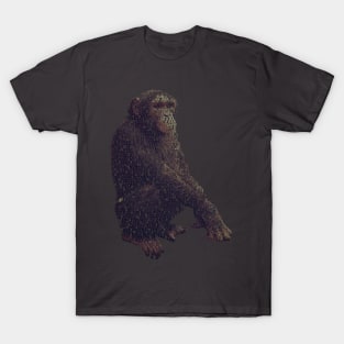 Chimpanzee Info Graphic T-Shirt